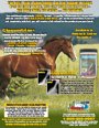 Ad Sample 1