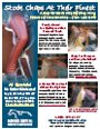 Ad Sample 2