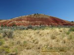 Painted Hills 4