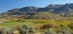 Painted Hills 6